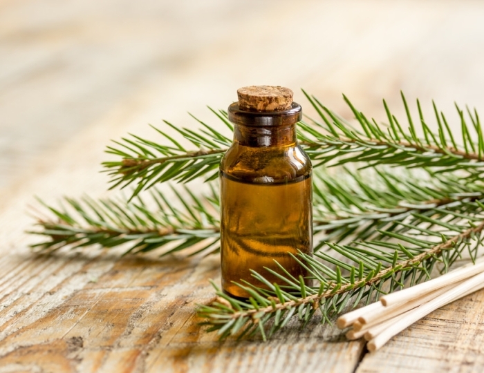 Аэрофитотерапия - Оздоровительные услуги - Санаторий «Киев» Алушта